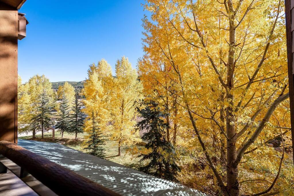 Ski-In/Ski-Out Zephyr 1 Bedroom Condo Winter Park Zewnętrze zdjęcie